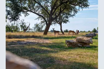 340 Clubhouse Drive, Graford, TX 76449 - Photo 12