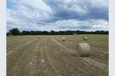 14.1 Acres County Road 2230, Mineola, TX 75773 - Photo 8