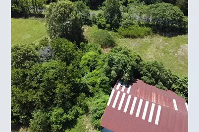 14.1 Acres County Road 2230, Mineola, TX 75773 - Photo 16