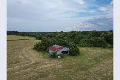 14.1 Acres County Road 2230, Mineola, TX 75773 - Photo 6