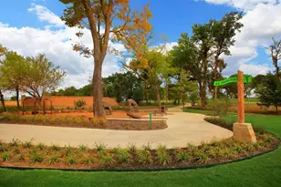 701 Lost Woods Way, McKinney, TX 75071 - Photo 10