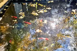 140 Meadowbrook St, Robinson, TX 76706 - Photo 36