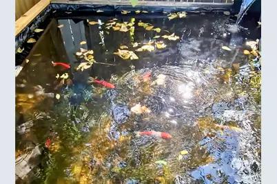 140 Meadowbrook Street, Robinson, TX 76706 - Photo 36