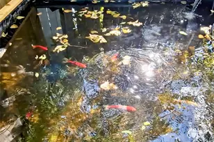 140 Meadowbrook St, Robinson, TX 76706 - Photo 36