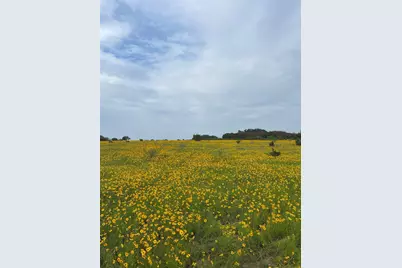 0000 Bison Ridge Drive #Lot 155, Stephenville, TX 76401 - Photo 1