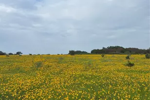 0000 Bison Ridge Dr, Stephenville, TX 76401 - Photo 1