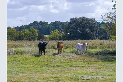 479 Vzcr 1504, Van, TX 75790 - Photo 18