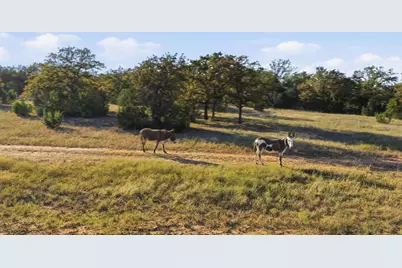 11051 Brock Highway, Lipan, TX 76462 - Photo 2