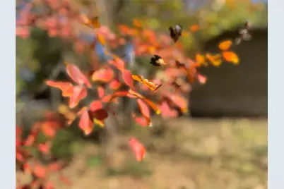 2250 W Kaufman Street, Paris, TX 75460 - Photo 2