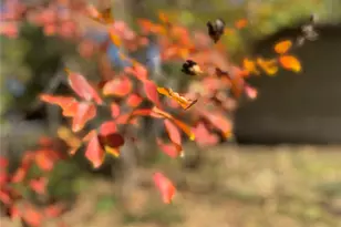 2250 W Kaufman St, Paris, TX 75460 - Photo 2