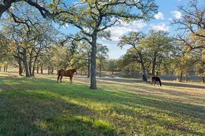 12664 Highway 199 W, Poolville, TX 76487 - Photo 4