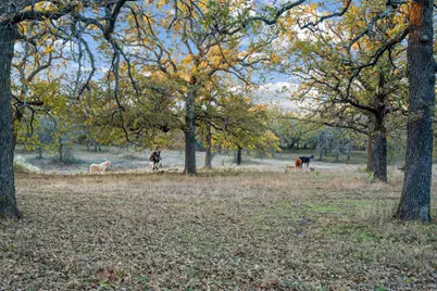 12664 Highway 199 W, Poolville, TX 76487 - Photo 26