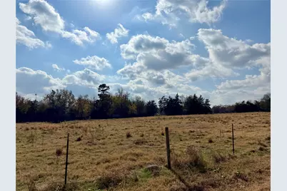 14 Acres County Road 3359, Saltillo, TX 75478 - Photo 2