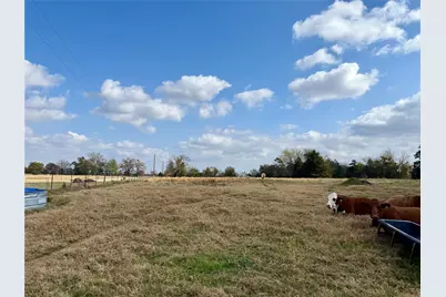 14 Acres County Road 3359, Saltillo, TX 75478 - Photo 6