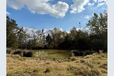 14 Acres County Road 3359, Saltillo, TX 75478 - Photo 14