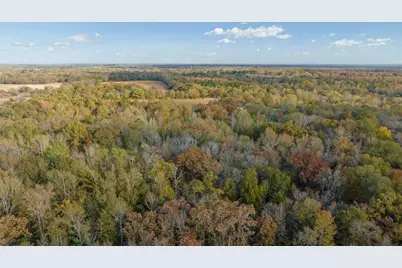 Tbd County Road 1440, Bogata, TX 75417 - Photo 10