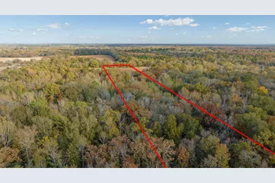 Tbd County Road 1440, Bogata, TX 75417 - Photo 2