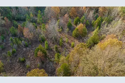 Tbd County Road 1440, Bogata, TX 75417 - Photo 8