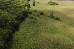 Tbd Cr 2068, Klondike, TX 75448 - Photo 1