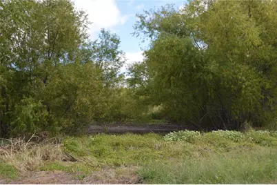 Tbd Cr 2068, Klondike, TX 75448 - Photo 6