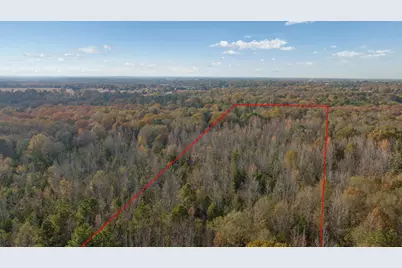 Tbd Cr 1440, Bogata, TX 75417 - Photo 6