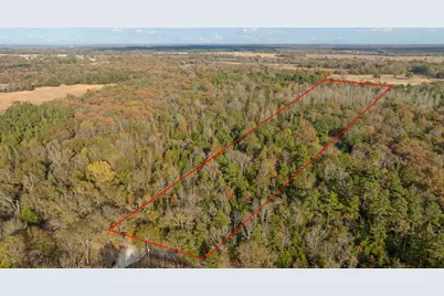 Tbd Cr 1440, Bogata, TX 75417 - Photo 10