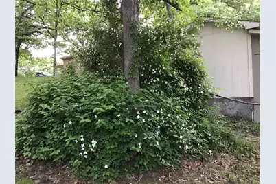 5320 Loma Vista, Malakoff, TX 75148 - Photo 14