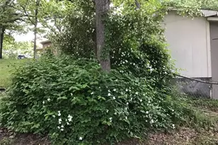 5320 Loma Vista, Malakoff, TX 75148 - Photo 14