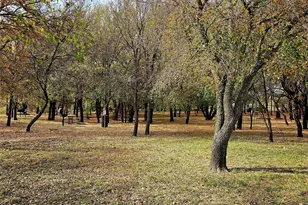 3001 Barefoot Ln, Celina, TX 75009 - Photo 28