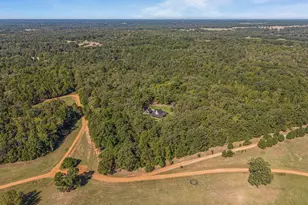 877 Pr 7893, Mineola, TX 75773 - Photo 40