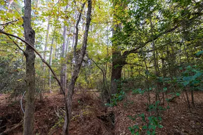 640 County Road 4910, Troup, TX 75789 - Photo 16