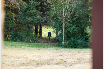 640 County Road 4910, Troup, TX 75789 - Photo 34