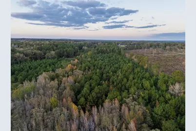 640 County Road 4910, Troup, TX 75789 - Photo 6