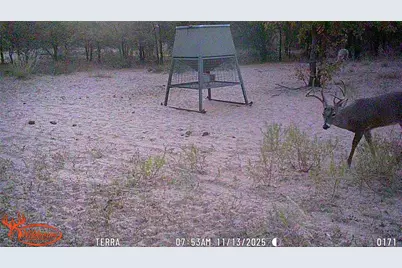 11605 County Road 372, Anson, TX 79501 - Photo 18