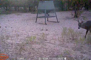 11605 Co Rd 372, Anson, TX 79501 - Photo 18