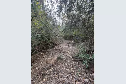 Tbd Lcr 758, Thornton, TX 76687 - Photo 34