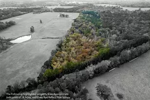 590 An County Rd 169, Elkhart, TX 75839 - Photo 2