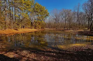 590 An County Rd 169, Elkhart, TX 75839 - Photo 4