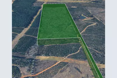 0 Nesbitt Cutoff Marshall, Marshall, TX 75670 - Photo 6