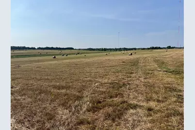 17560 E Fm 1396, Windom, TX 75492 - Photo 10