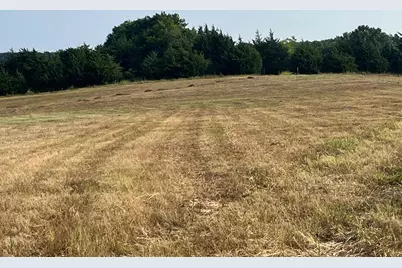 17560 E Fm 1396, Windom, TX 75492 - Photo 16