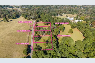 Tbd County Road 2174 Lot 4, Whitehouse, TX 75791 - Photo 1