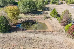 18166 Cr 452, Lindale, TX 75771 - Photo 10