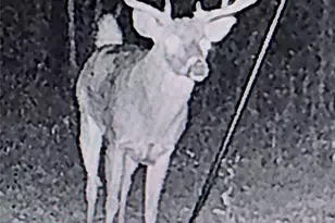 1872 Jewel Ln, Whitesboro, TX 76273 - Photo 32