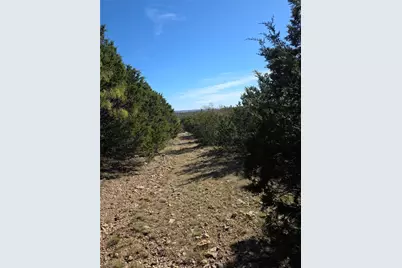 Tbd 242.442 McClure Ranch Road, Gordon, TX 76453 - Photo 6