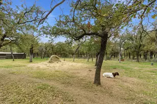 456 Prickly Pear Trail, Gordon, TX 76453 - Photo 30