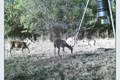 7581 Hwy 24, Commerce, TX 75428 - Photo 40