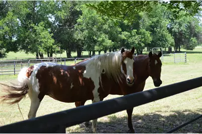 7581 Hwy 24, Commerce, TX 75428 - Photo 8