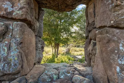 732 N Windomere Avenue, Dallas, TX 75208 - Photo 30