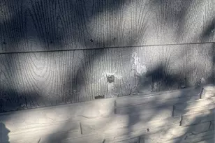 1217 High St, Fort Worth, TX 76110 - Photo 18